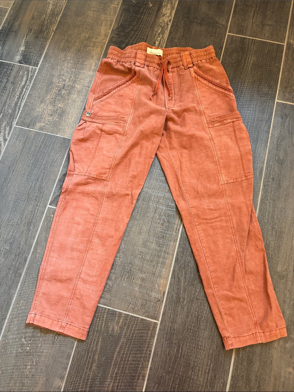 Anthropologie Men's Rust Orange Cargo Pants